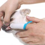 Børst nemmere tænder på din hund med en fingertandbørste